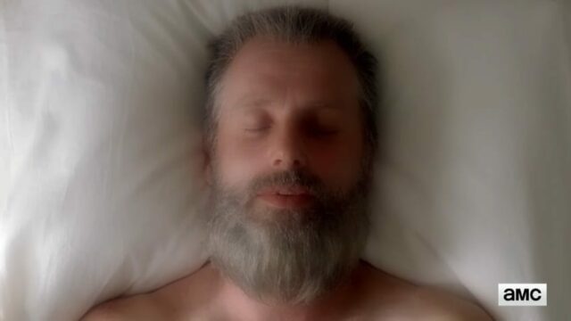 The Walking Dead 8 - Rick