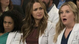 Grey's Anatomy 14x20 streaming