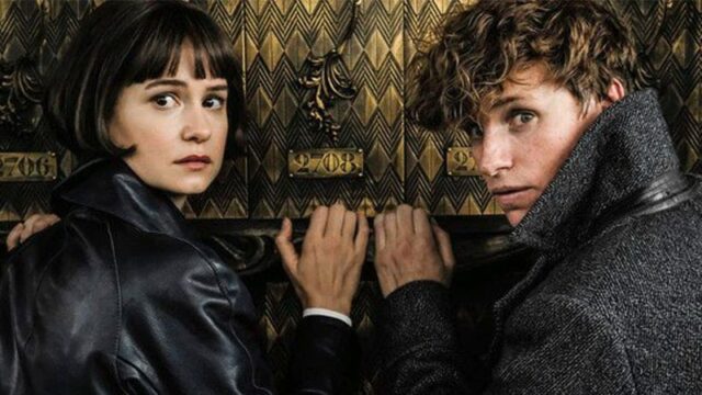 Animali Fantastici 2 Newt Scamander da giovane insieme al Silente di Jude Law