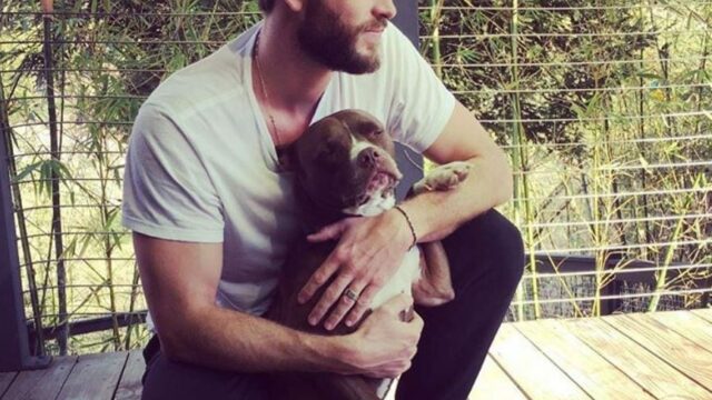 Liam Hemsworth: dal fratello Chris al mattrimonio con Miley Cyrus