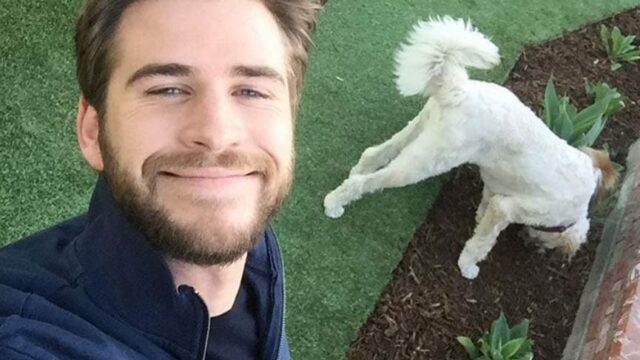 Liam Hemsworth: dal fratello Chris al mattrimonio con Miley Cyrus