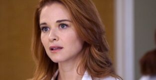 sarah drew grey's anatomy 17 stagione ritorno cameo april