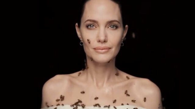 angelina jolie api