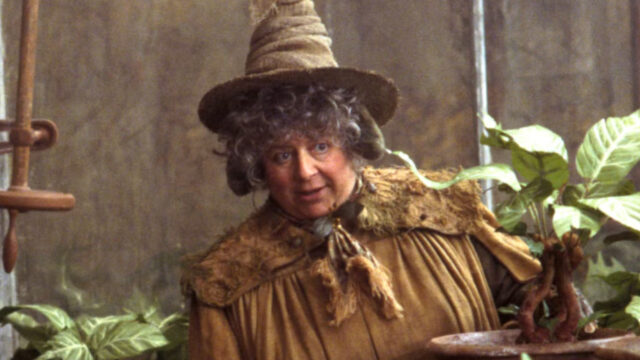 Miriam Margolyes professoressa sprite harry potter non importante