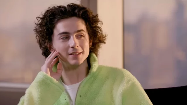 Timothée Chalamet film spinto fare attore