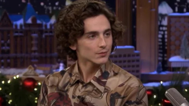 timothée chalamet