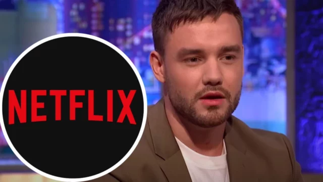 liam payne netflix