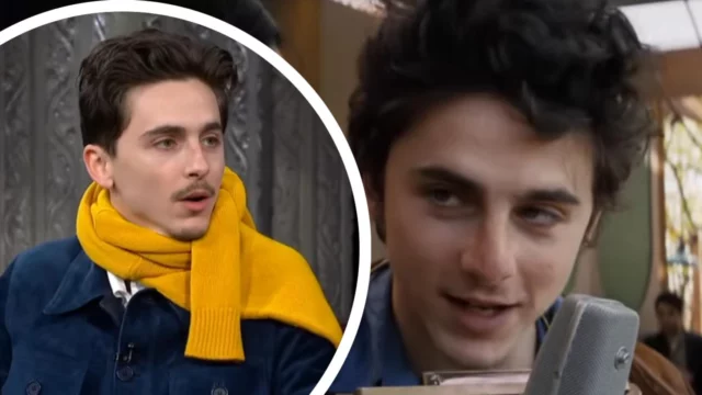 timothee chalamet